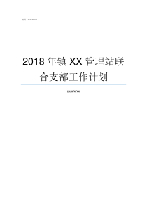 2018年镇XX管理站联合支部工作计划2019亚洲hd