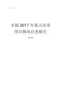 乡镇2017年重点改革项目情况自查报告