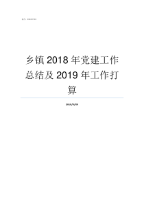 乡镇2018年党建工作总结及2019年工作打算