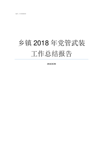 乡镇2018年党管武装工作总结报告乡镇补贴2019