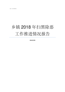 乡镇2018年扫黑除恶工作推进情况报告