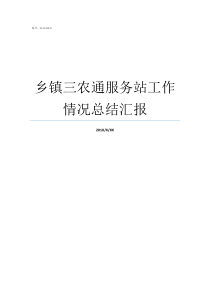 乡镇三农通服务站工作情况总结汇报三农服务站