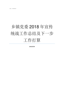 乡镇党委2018年宣传统战工作总结及下一步工作打算