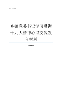 乡镇党委书记学习贯彻十九大精神心得交流发言材料