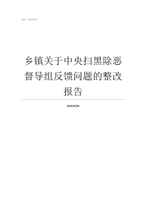 乡镇关于中央扫黑除恶督导组反馈问题的整改报告乡镇扫黑除恶存在问题