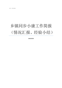 乡镇同步小康工作简报情况汇报经验小结