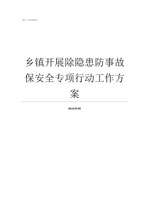 乡镇开展除隐患防事故保安全专项行动工作方案因为隐患造成的安全事故