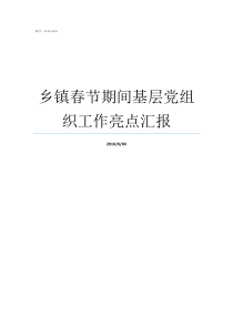 乡镇春节期间基层党组织工作亮点汇报党组