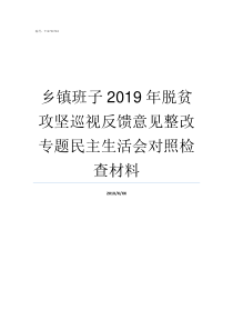 乡镇班子2019年脱贫攻坚巡视反馈意见整改专题民主生活会对照检查材料2019领导班子