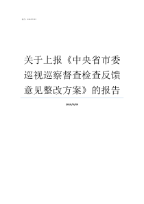 关于上报中央省市委巡视巡察督查检查反馈意见整改方案的报告贯彻中央和省市委