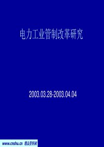 电力工业管制改革研究