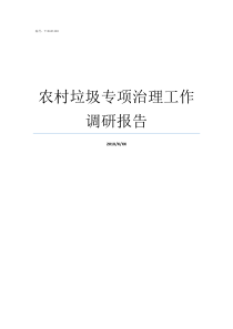 农村垃圾专项治理工作调研报告农村垃圾治理不