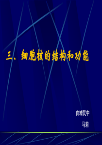 三、细胞核的结构和功能