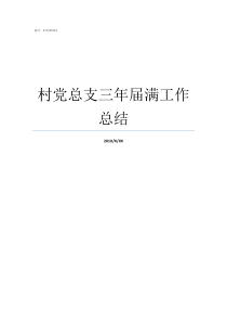 村党总支三年届满工作总结村级党支部和村级党总支