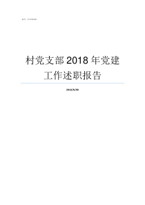 村党支部2018年党建工作述职报告2018村党支部工作情况汇报