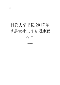 村党支部书记2017年基层党建工作专项述职报告村党支部书记