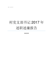 村党支部书记2017年述职述廉报告