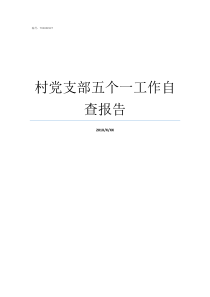 村党支部五个一工作自查报告