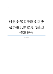 村党支部关于落实区委巡察组反馈意见的整改情况报告村党支部和村党组织