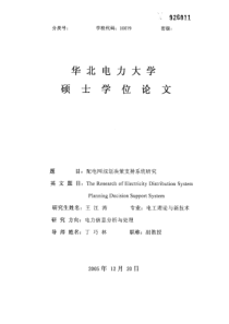 配电网规划决策支持系统研究