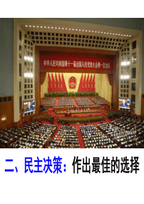 野风民主决策做出最佳选择课件