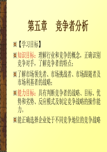 第五章竞争者分析