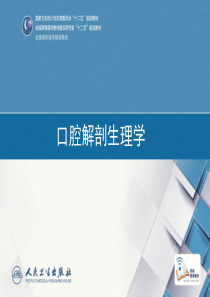 口腔解剖生理学-第二章
