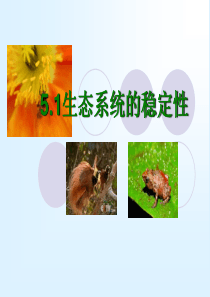 人教版高中生物必修三5.5 生态系统的稳定性 课件 (共17张PPT)