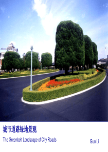 城市道路绿化