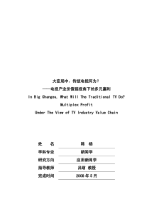 大变局中,传统电视何为_--电视产业价值链视角下的多元