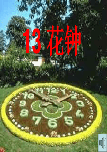《花钟》ppt课件8