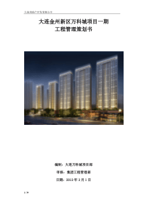 万科项目策划书
