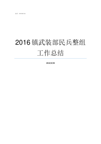 2016镇武装部民兵整组工作总结武装部民兵训练