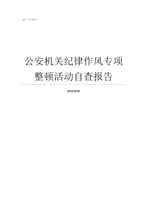 公安机关纪律作风专项整顿活动自查报告民警纪律作风剖析材料