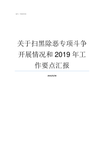 关于扫黑除恶专项斗争开展情况和2019年工作要点汇报