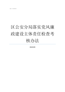 区公安分局落实党风廉政建设主体责任检查考核办法落实党风廉建设责任制