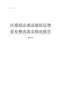 区委政法委巡视组反馈意见整改落实情况报告