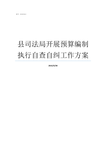 县司法局开展预算编制执行自查自纠工作方案开展自查自纠工作方案
