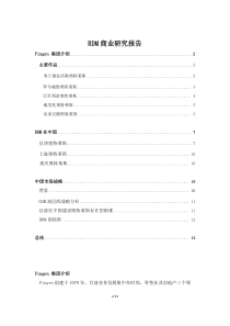 RDM公司研究报告