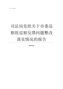 司法局党组关于市委巡察组巡察反馈问题整改落实情况的报告司法局党组文件