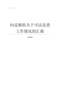 向巡察组关于司法巡查工作情况的汇报