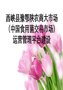 食用菌大市场讲稿