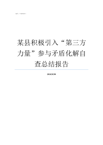 某县积极引入第三方力量参与矛盾化解自查总结报告引入第三方页面
