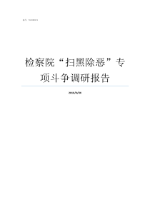 检察院扫黑除恶专项斗争调研报告