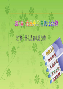 2015年沪教版九年级下册精品备课课件：8.1  什么是有机化合物(共21张PPT)