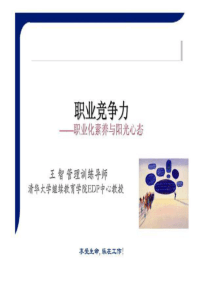 职业竞争力职业化素养与阳光心态（PPT94页)