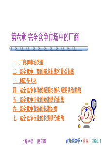 西方经济学 第六章完全竞争市场