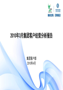 2010年3月集团客户经营分析报告