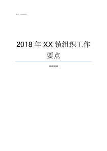 2018年XX镇组织工作要点2019亚洲hd