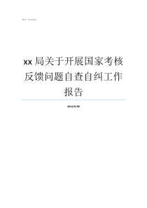 xx局关于开展国家考核反馈问题自查自纠工作报告与其他国家开展反恐